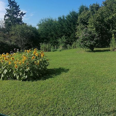 Petite Maison Dans Le Morvan Luzy Ngoại thất bức ảnh